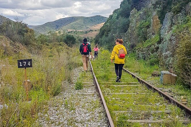 Private Douro and Porto 4x4 Tour With Wine Tasting and Boat Trip - Positive Traveler Feedback