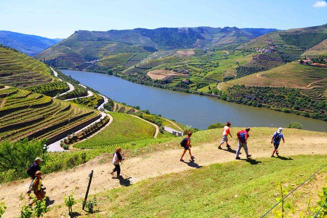 Private Douro Tour With Lunch Wine Tasting Boat and Train Cruise - Pickup and Schedule