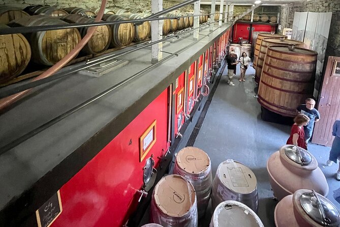 Private Douro Tour With Lunch Wine Tasting Boat and Train Cruise - Health Considerations