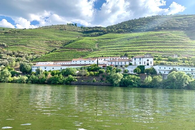 Private Douro Valley, 2 Wine Tastings, Boat Tour in a Luxury Car - Accessibility and Seating