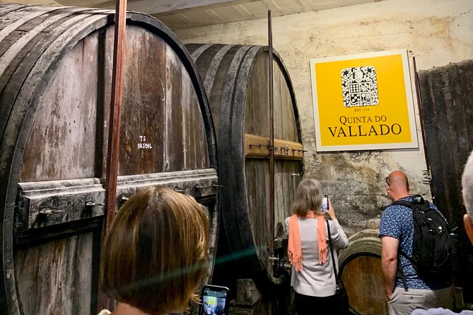 Private Douro Valley, 2 Wine Tastings, Boat Tour in a Luxury Car - Transportation and Views