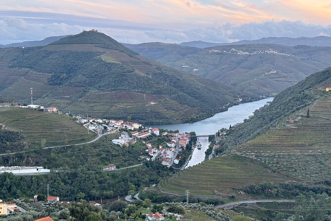 Private Douro Valley, 2 Wine Tastings, Boat Tour in a Luxury Car - Review Highlights