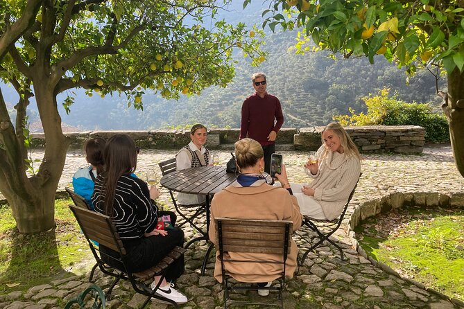 Private Douro Valley All Inclusive: Tastings, Lunch & Boat - Accessibility and Participation