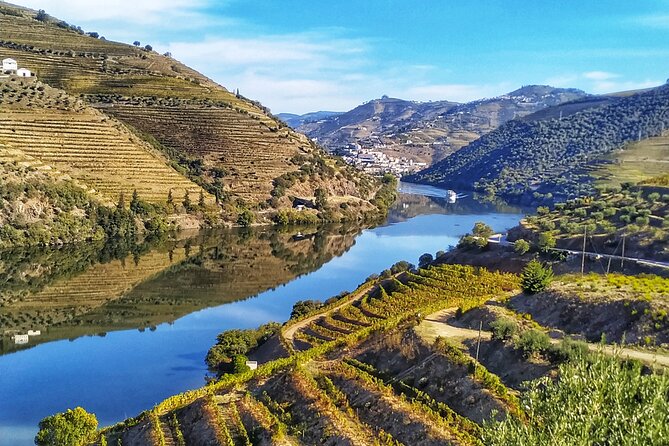 Private Douro Valley All Inclusive: Tastings, Lunch & Boat - Savor the Home-Cooked Lunch