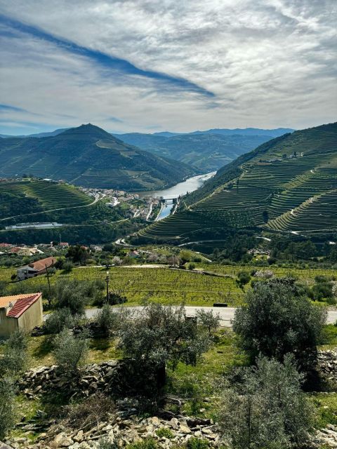 Private Douro Valley Full Day Tour - Transportation and Comfort