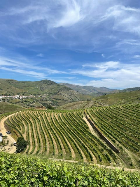 Private Douro Valley Guided Tour With Lunch - Additional Information