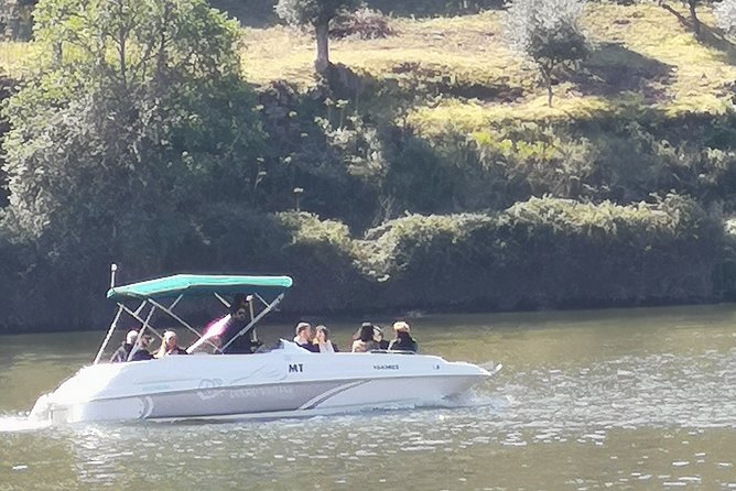 Private Douro Valley in a Luxury Convertible Mercedes. - Scenic Convertible Drive
