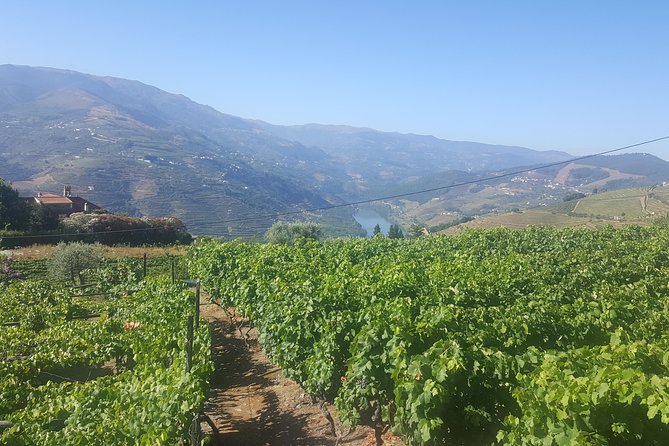 Private Douro Valley - Senses Experiences - Pickup and Transportation