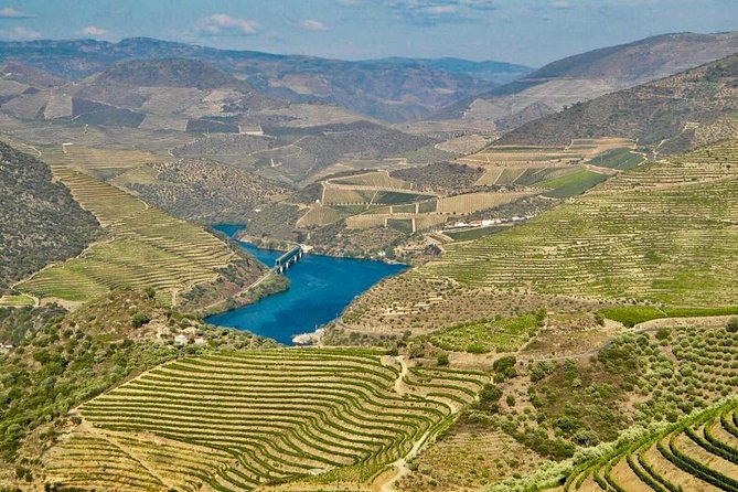 Private Douro Valley - Senses Experiences - Booking and Cancellation Policy