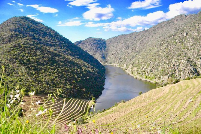 Private Douro Valley - Senses Experiences - Frequently Asked Questions