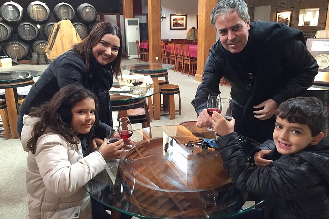 Private Douro Valley Tour From Porto - Port Wine Farm Visit
