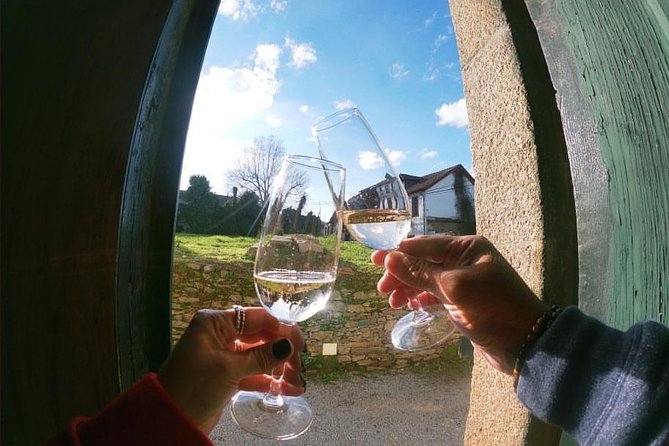 Private Douro Valley Tour From Porto - Douro River Mini-Cruise