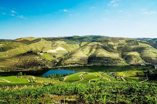 Private Douro Valley Tour Including 3 Wineries - Private Address Pickups