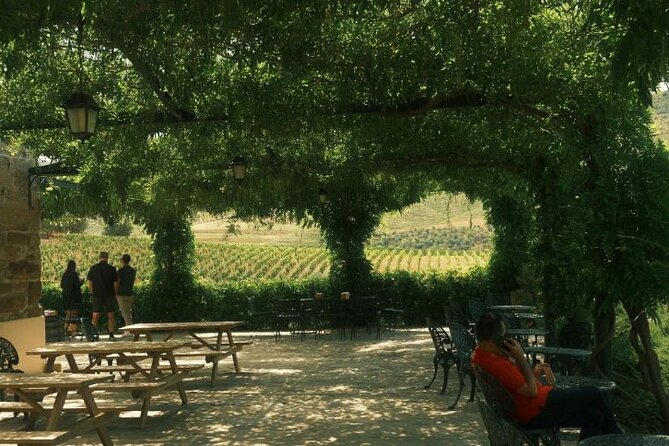 Private Douro Valley Tour With Lunch & Wines - Accommodations for Special Dietary Needs