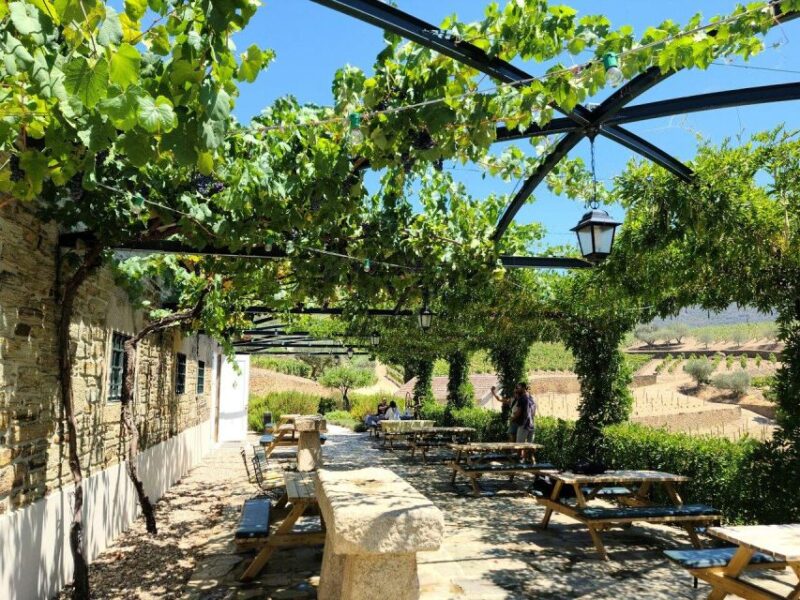 Private Douro Valley Tour:Visits,Tastings,Boat and Lunch 5* - Experience and Inclusions