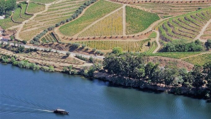 Private Douro Valley Tour:Visits,Tastings,Boat and Lunch 5* - Frequently Asked Questions
