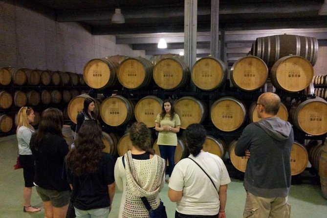 Private Douro Valley Wine Tour: 2 Wine Estates, Lunch and Cruise - Cancellation Policy