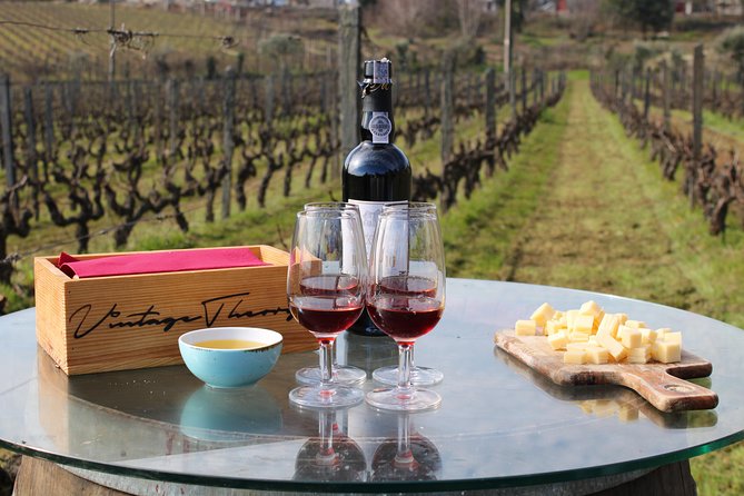 Private Douro Valley Wine Tour: 2 Wine Estates, Lunch and Cruise - Traditional Portuguese Lunch