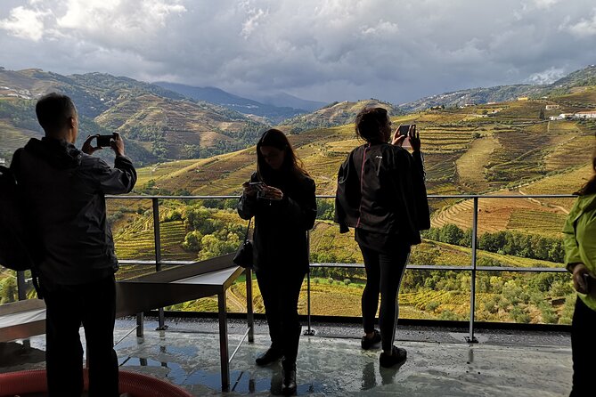 Private Douro Valley Wine Tour + Lunch and Boat Cruise - Pickup and Drop-off