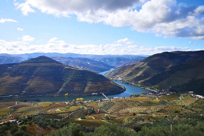 Private Douro Valley Wine Tour + Lunch and Boat Cruise - Tour Guide Expertise