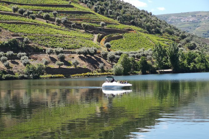 Private Douro Valley With Mercedes Convertible, Lunch / Tastings 2 Wine Estates - Traditional Rabelo Boat Ride