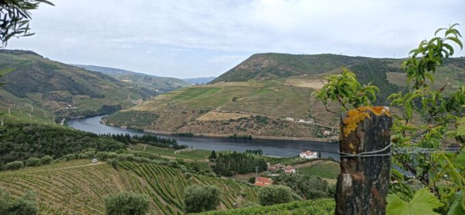 Private Douro Wine Tour - Scenic Views