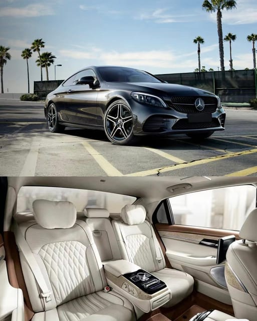 Private Driver Airport to Hotel in Paris - Vehicle and Amenities