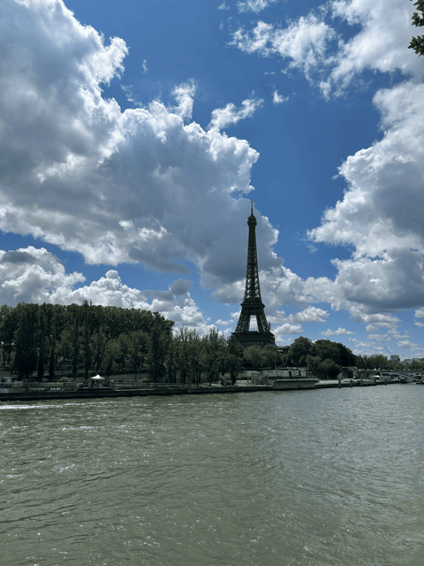 Private Driver Airport to Hotel in Paris - Personalized Experience