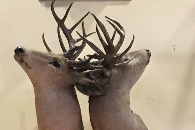 Private Drunk History Tour: Featuring Texas Oldest Hotel & Saloon - Tour Details