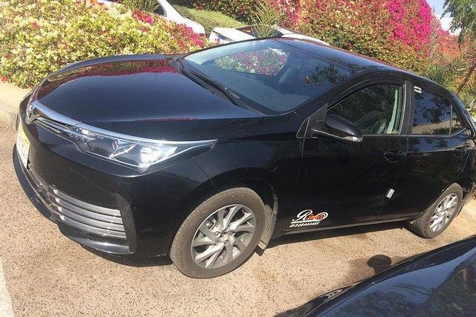 Private Dubai Airport Transfer DXB to Anywhere in Dubai - Accessibility Features
