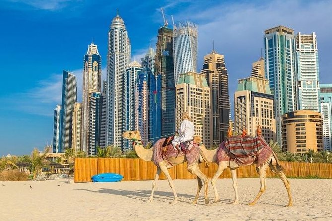 Private Dubai City Tour With Dubai Frame Ticket - Accessibility Features