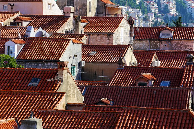 Private Dubrovnik City Walls & City Tour - Health and Safety