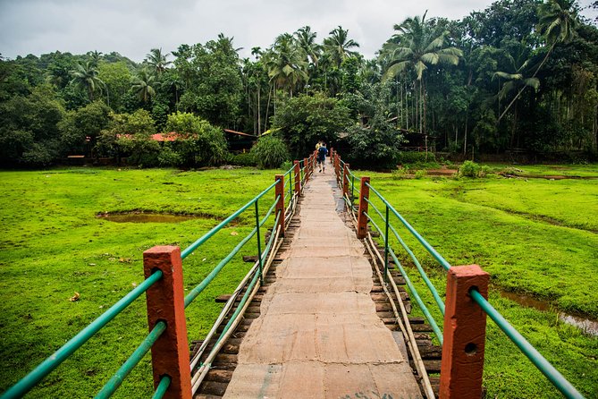 Private Dudhsagar Waterfalls & Spice Plantation With Lunch From Mormugao Port - Goan Spice Plantation Tour