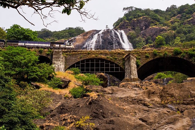 Private Dudhsagar Waterfalls & Spice Plantation With Lunch From Mormugao Port - Guest Feedback and Insights