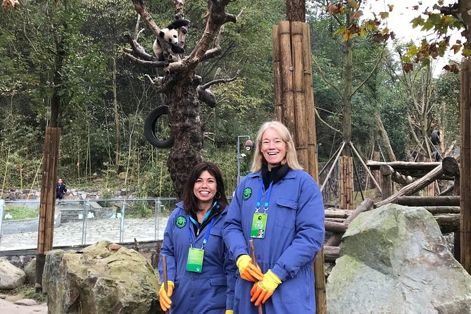 Private Dujiangyan Panda Base Panda Rescue Center Volunteer for a Day - Panda Center Itinerary and Activities