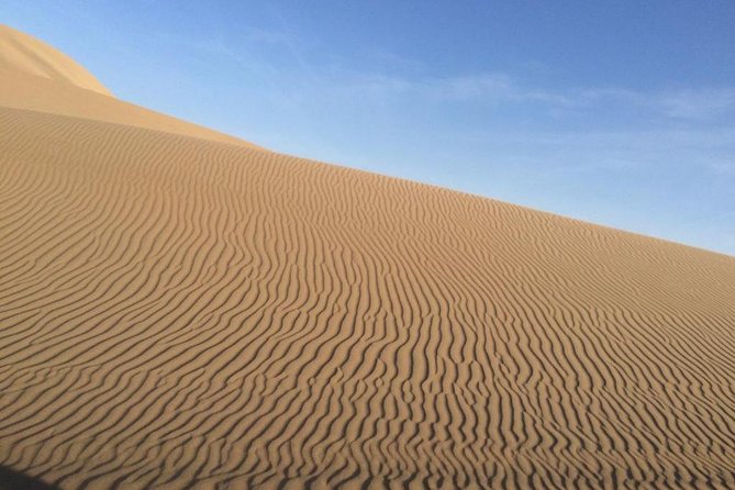 Private Dune Buggy Tour With Sandboard or Ski / 2 Hours - Traveler Feedback