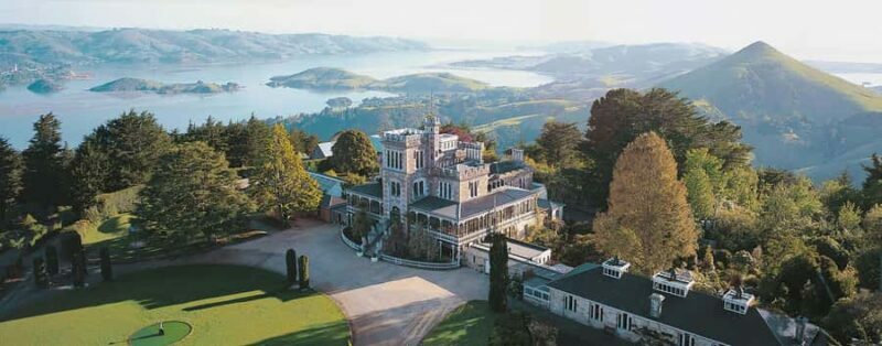 Private Dunedin City Highlights and Otago Peninsula Day Tour - An In-Depth Look at the Tour Experience
