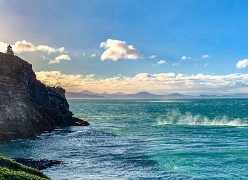 Private Dunedin City Highlights and Otago Peninsula Day Tour - FAQ