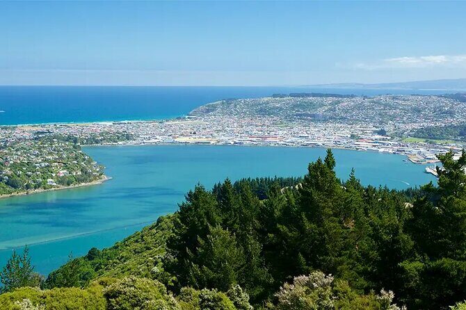 Private Dunedin & Otago Peninsula Day Tour Up to 4 - Detailed Itinerary Breakdown