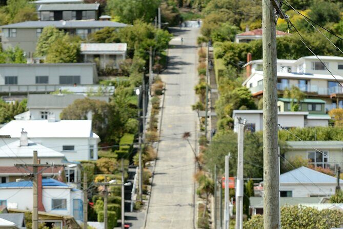 Private Dunedin & Otago Peninsula Day Tour Up to 4 - FAQ