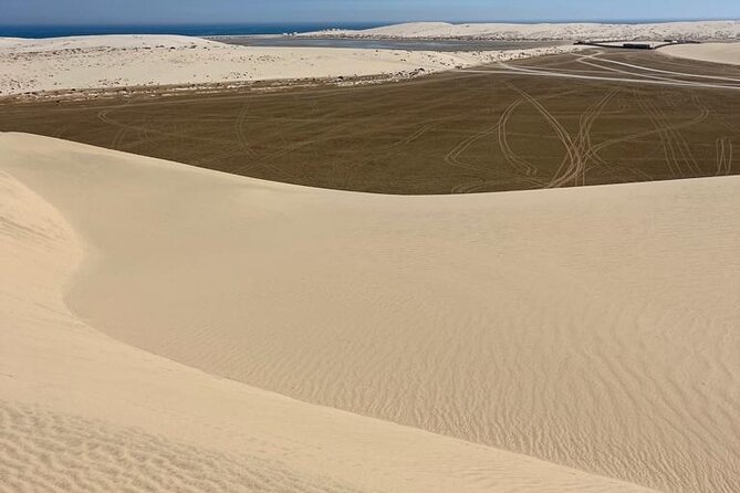 Private Dunes Bashing - Camel Ride Adventure