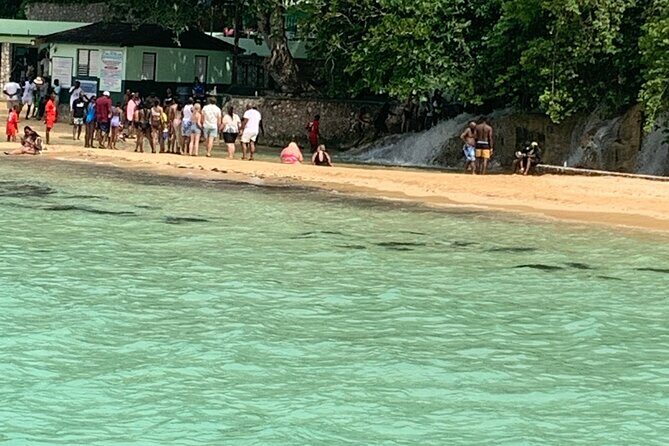 Private Dunn's River and Bamboo Rafting Combo from Ocho Rios - Who Will Love This Tour?