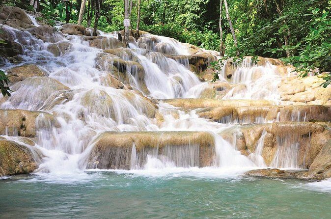 Private Dunn's River Falls Jamaica - Why Choose This Tour?