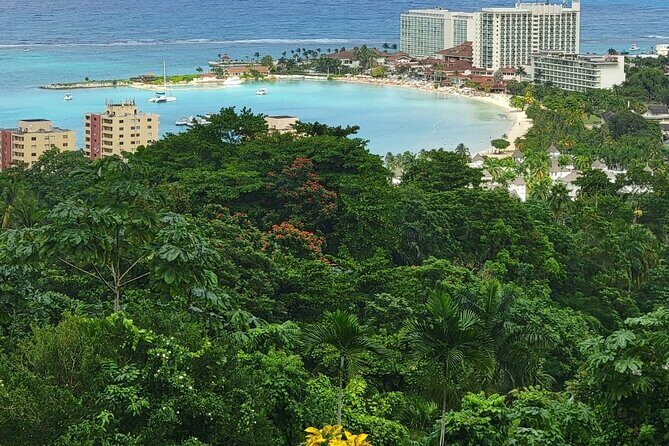Private Dunn's River Falls, Ocho Rios Sightseeing and shopping - The Sum Up