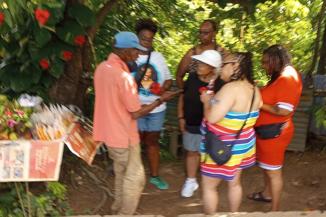 Private Dunns River Falls, Ocho Rios Sightseeing and Shopping - Ocho Rios Sightseeing