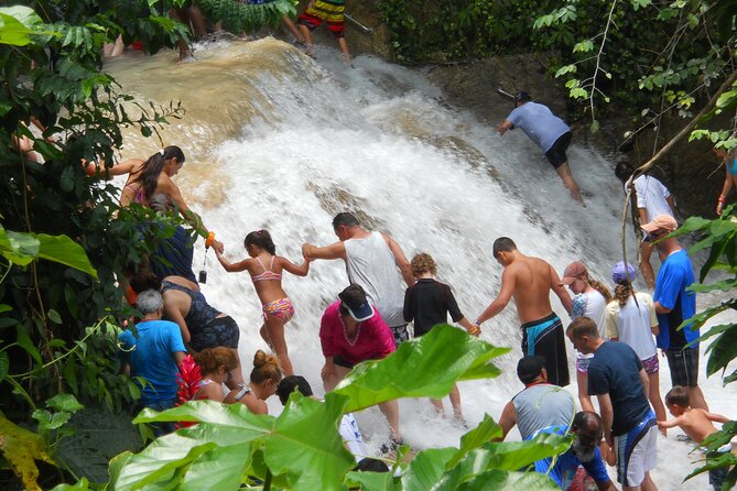 Private Dunns River Falls Tour in Ocho Rios - Health and Safety Guidelines