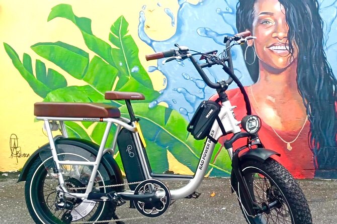Private E-bike Adventure Tours of Barbados - Inclusions and Meeting Details