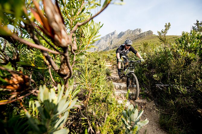 Private E-Bike Cape Town MTB Trails With a Pro - Meeting and Transportation