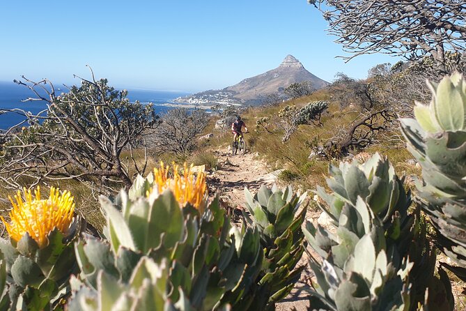 Private E-Bike Cape Town MTB Trails With a Pro - Customer Testimonials