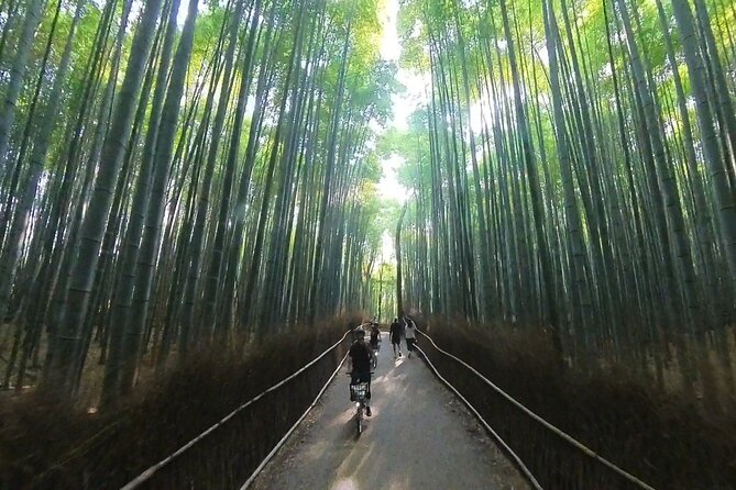 Private: E-bike Cycling Tour in Arashiyama - Health and Accessibility Restrictions